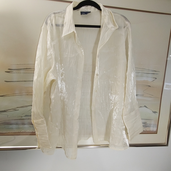 Addition-Elle Chiffon Long Sleeve Blouse Size 22 - Picture 1 of 8